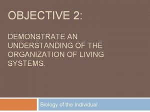 OBJECTIVE 2 DEMONSTRATE AN UNDERSTANDING OF THE ORGANIZATION