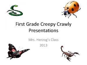 Mrs crawly Mrs crawly