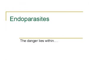 Endoparasites The danger lies within Definitions n n