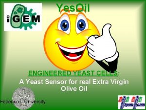 Yes Oil ENGINEERED YEAST CELLS A Yeast Sensor