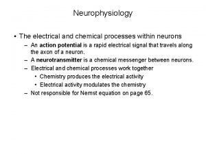 Neurophysiology The electrical and chemical processes within neurons