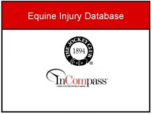Equine injury database Equine injury database