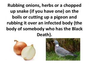 Rubbing onions herbs or a chopped up snake
