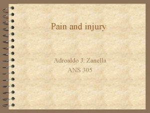 Pain and injury Adroaldo J Zanella ANS 305