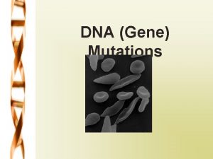 What causes mutations