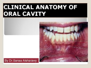 Hard palate