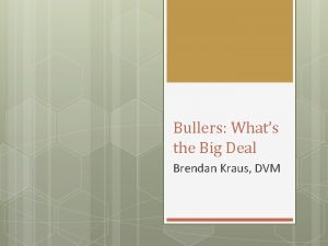 Bullers Whats the Big Deal Brendan Kraus DVM
