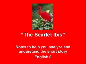 The scarlet ibis notes