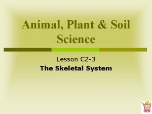 Animal Plant Soil Science Lesson C 2 3