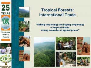 Tropical Forests International Trade Selling exporting and buying