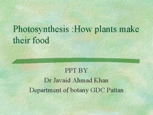 Why are plants green?