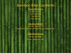 Bamboo Bike Capstone Team Members Camrun Arkills Kyle