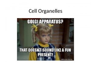 Discovery of cell organelles