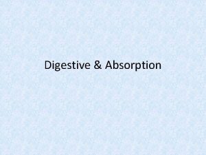 Content of pancreatic juice