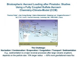 Stratospheric Aerosol Loading after Pinatubo Studies Using a