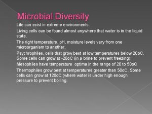 Archaea cell structure