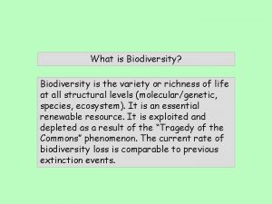 What is Biodiversity Biodiversity is the variety or