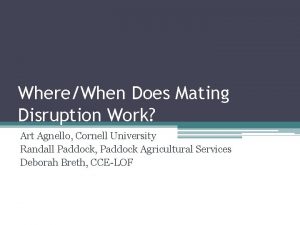 WhereWhen Does Mating Disruption Work Art Agnello Cornell