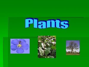 Characteristic of plants