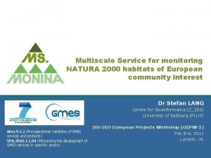Multiscale Service for monitoring NATURA 2000 habitats of