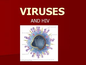 VIRUSES AND HIV VIRAL VOCABULARY n Bacteriophage n