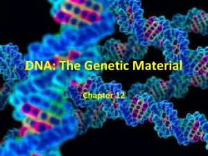 DNA The Genetic Material Chapter 12 Fredrick Griffith