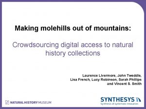 Making molehills out of mountains Crowdsourcing digital access
