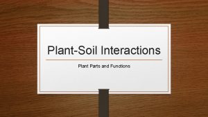 PlantSoil Interactions Plant Parts and Functions Roots Plants