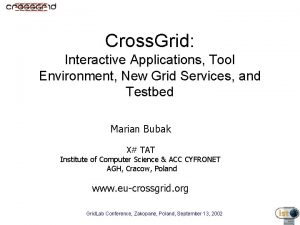 Cross Grid Interactive Applications Tool Environment New Grid