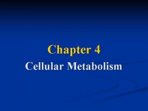 Chapter 4 Cellular Metabolism Metabolic Processes A Metabolic