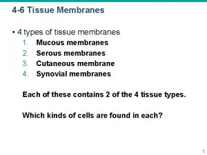 4 types of tissue membranes