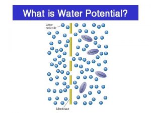 What is Water Potential Water potential the force
