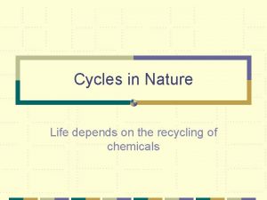 Importance of nitrogen cycle