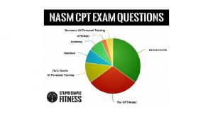 Dynamic postural assessment