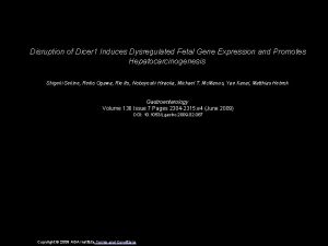 Disruption of Dicer 1 Induces Dysregulated Fetal Gene