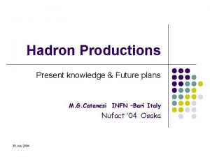 Hadron Productions Present knowledge Future plans M G