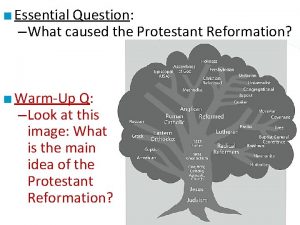 What caused the protestant reformation?