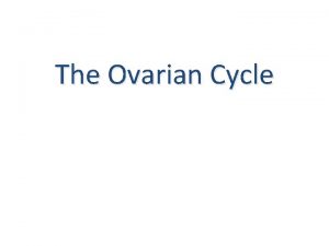 The Ovarian Cycle HypothalamicPituitaryOvarian Axis The Follicular Phase