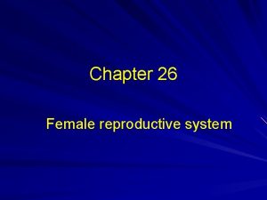 Female reproductive organs sagittal section