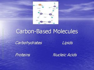 CarbonBased Molecules Carbohydrates Proteins Lipids Nucleic Acids CarbonBased