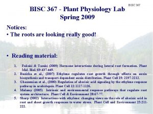 BISC 367 Plant Physiology Lab Spring 2009 Plant