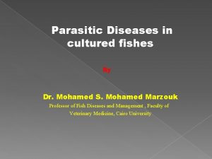 Parasitic Diseases in cultured fishes By Dr Mohamed