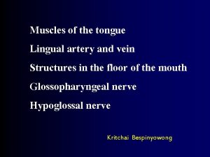 Muscles of the tongue Lingual artery and vein