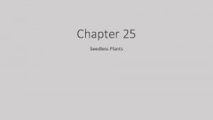 Chapter 25 Seedless Plants Plant Life Kingdom Plantae