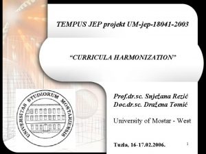 TEMPUS JEP projekt UMjep18041 2003 CURRICULA HARMONIZATION Prof