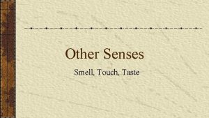 Other Senses Smell Touch Taste Gustation Taste Taste