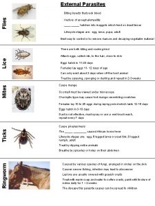 External Parasites Flies Biting insects that suck blood