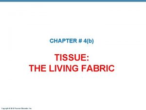 CHAPTER 4b TISSUE THE LIVING FABRIC Copyright 2010