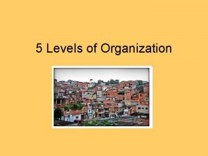 5 Levels of Organization Multicellular Organisms Benefits Larger