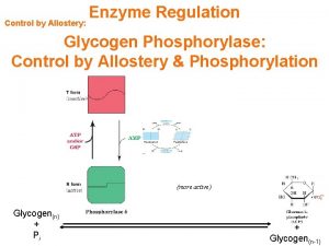 Glycogen regulation